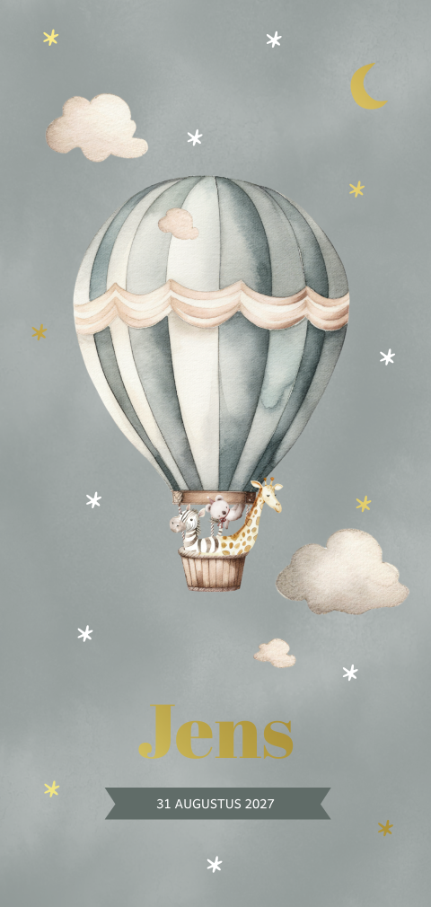 Geboortekaartje jongen met luchtballon en diertjes