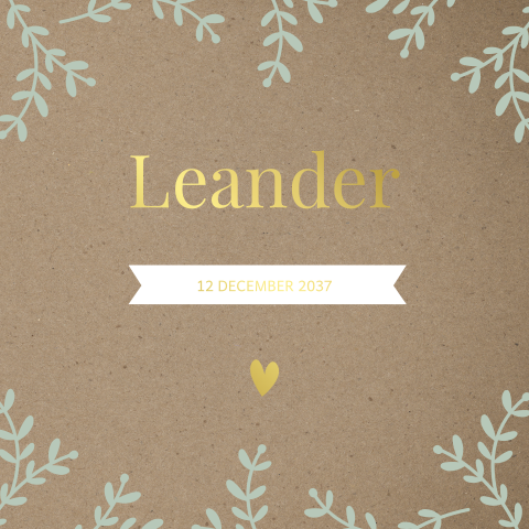 Geboortekaartje jongen en takjes en goudfolie