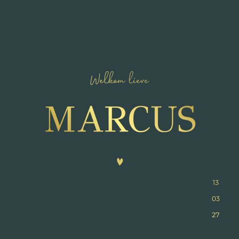 Geboortekaartje jongen met goudfolie