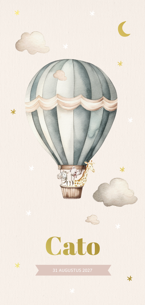 Geboortekaartje met luchtballon en diertjes