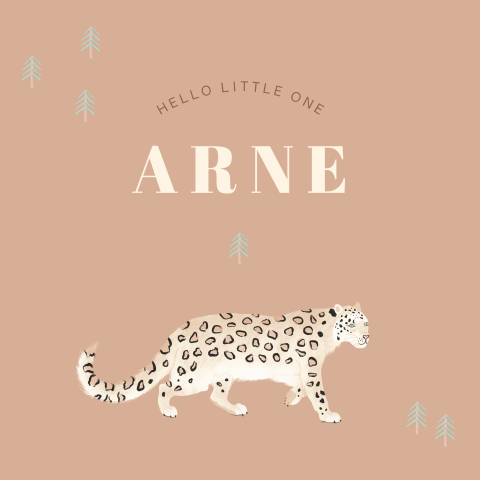 Bohemian geboortekaartje met ronde hoeken en luipaard