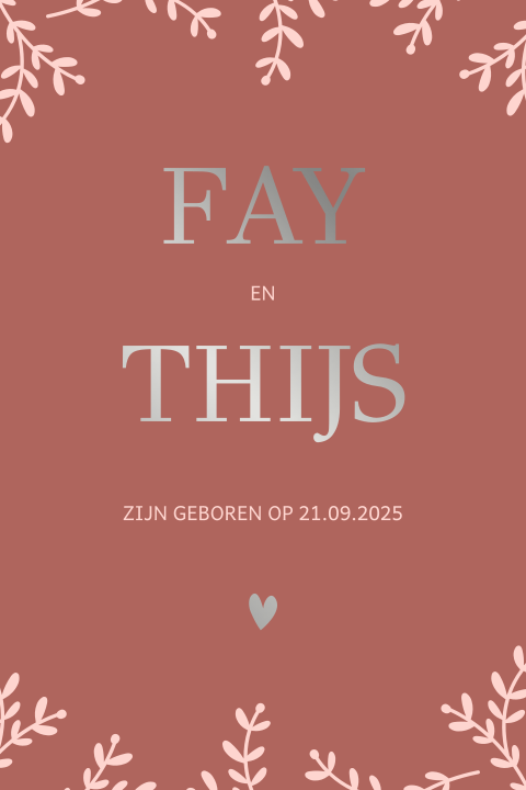 Geboortekaartje tweeling met takjes en zilverfolie