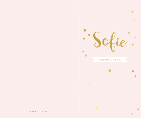 Lief geboortekaartje voor meisjes met smalle voorkant en foliedruk