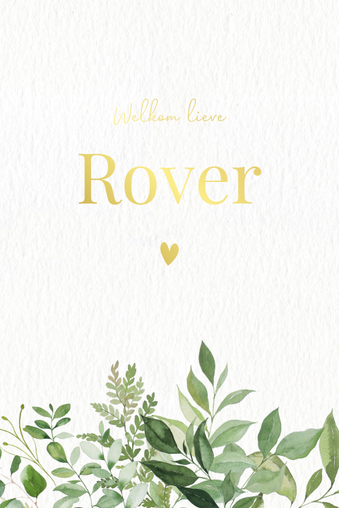 Lief geboortekaartje met blaadjes foliedruk