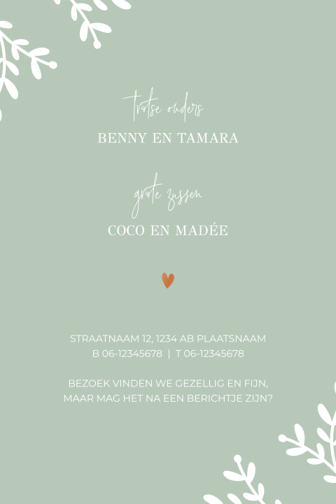 Inlegkaart voor pocketfold mapje (rechthoekig) aanvullend