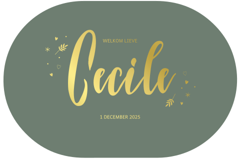 Geboortekaartje met ovale vorm, elementjes en goudfolie