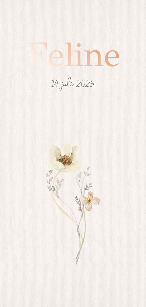 Geboortekaartje met ronde hoeken en veldbloemen