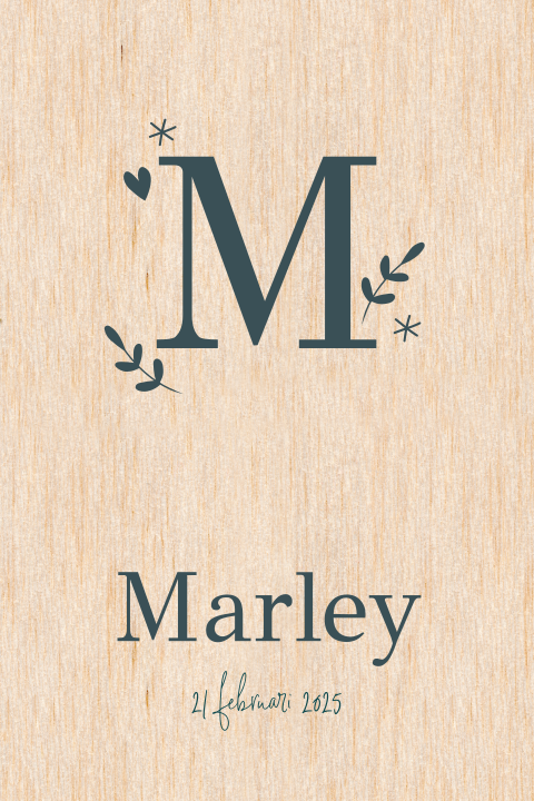 Houten geboortekaartje met initiaal en takjes