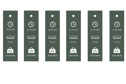 Tekstlabel langwerpig met geboorte icoontjes, incl. gaatje