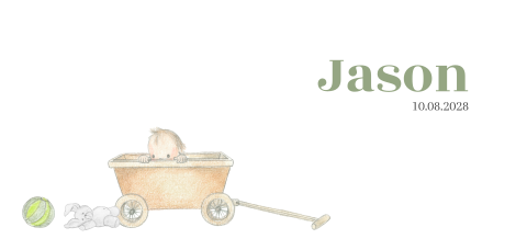 Lief getekend geboortekaartje met baby in bolderwagen