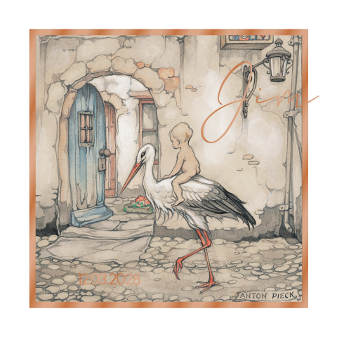 Anton Pieck geboortekaart baby ooievaar hoogglans