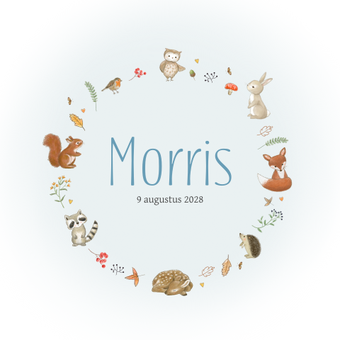 Geboortekaartje jongen bosdieren herfst in cirkel