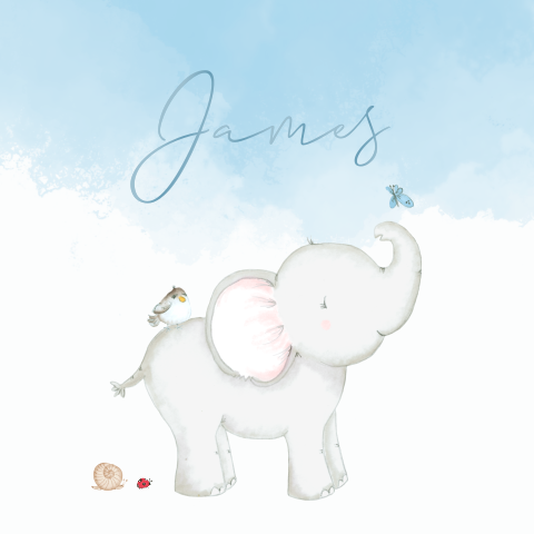Geboortekaart jongen olifant watercolor blauw hoogglans