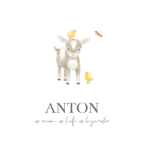 Geboortekaart boerderijdieren geitje kuikentjes en vlinder