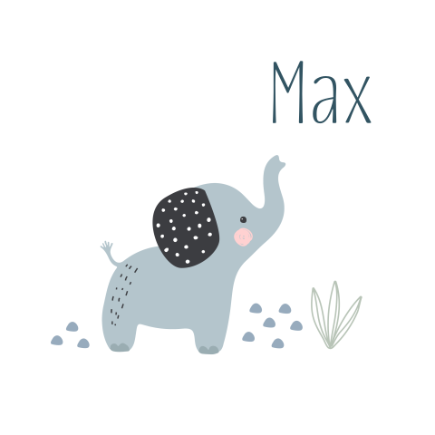 Geboortekaartje jongen olifantje blauw