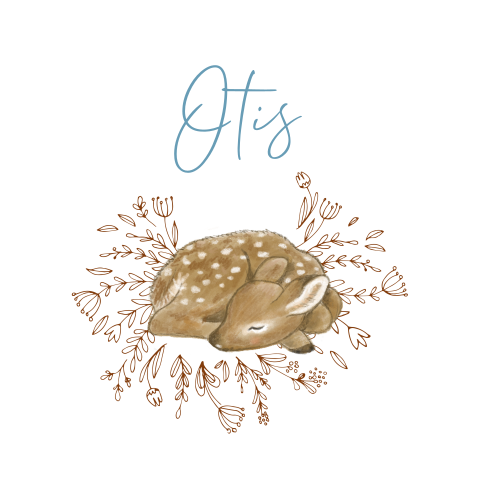 Geboortekaart jongen hertje bloemenkrans