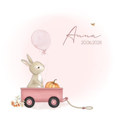 Geboortekaartje meisje konijn bolderwagen ballon roze