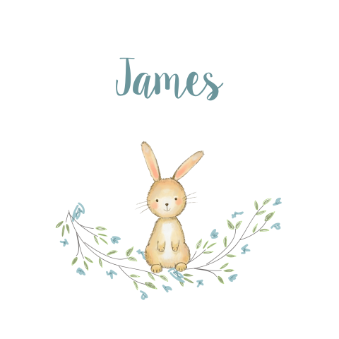 Lief geboortekaartje jongen konijn bloementakje