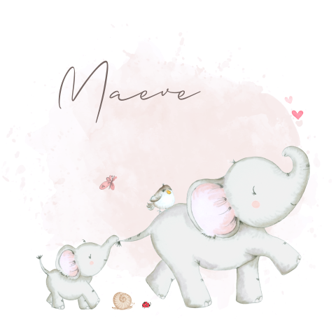 Geboortekaartje meisje twee olifantje watercolor roze