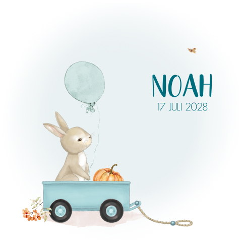 Lief geboortekaartje jongen konijn in bolderkar