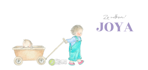 Geboortekaart baby in bolderkar met grote broer