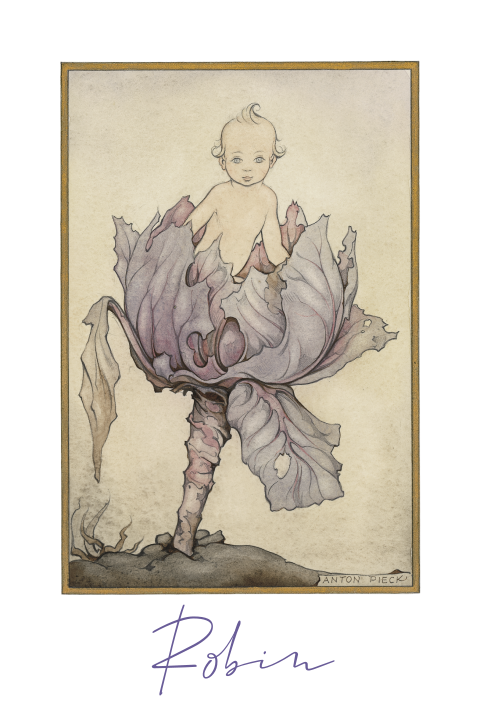 Anton Pieck geboortekaart baby in rode kool