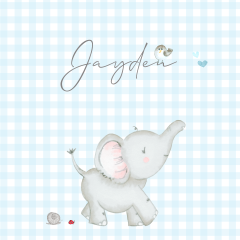 Geboortekaartje jongen baby olifant blauwe ruitjes