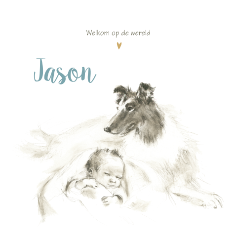 Geboortekaartje pentekening baby met collie hond