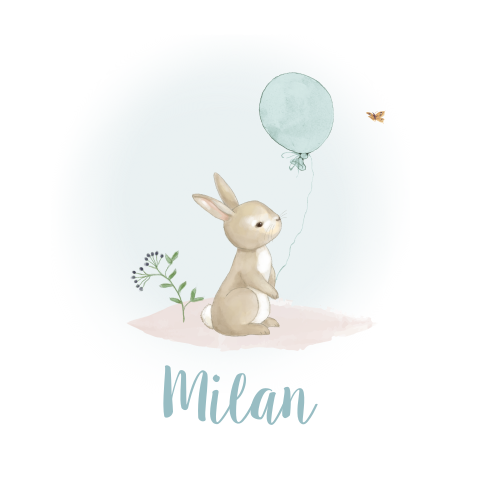 Geboortekaart jongen konijntje met blauwe ballon