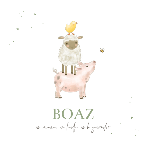 Geboortekaartje boerderijdieren jongen hartjes