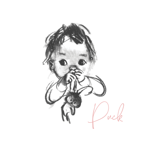 Geboortekaart pentekening baby met knuffelkonijn