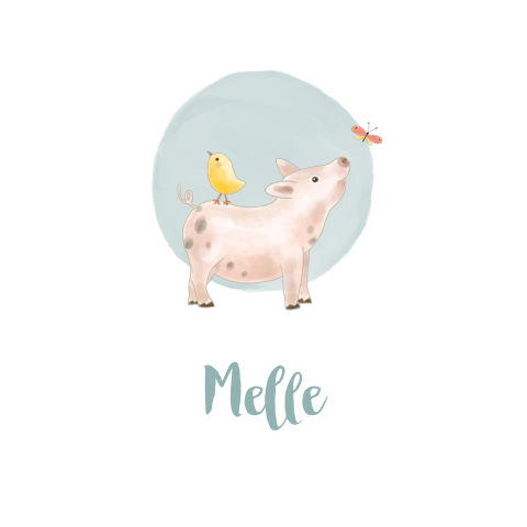 Geboortekaartje boerderijdieren varkentje watercolor cirkel
