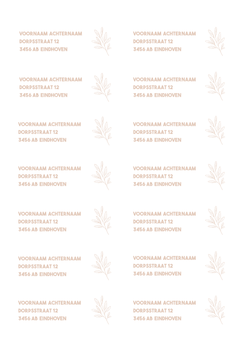 Bijpassende stickers takje blush roze