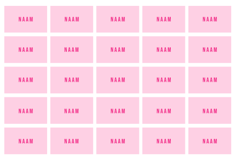 Naamkaartjes zomers neon roze geel | 25 stuks 8x5 cm