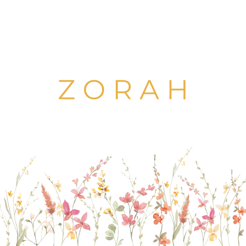 Geboortekaartje meisje met kleurrijke veldbloemen