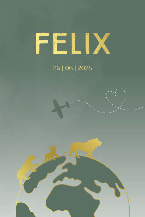 Geboortekaartje wereldbol leeuwen goudfolie vliegtuigje