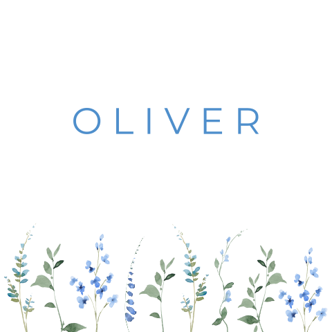 Geboortekaartje jongen geschilderde bloemen blauw