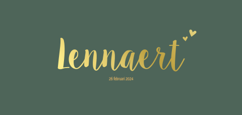 Geboortekaartje jongen langwerpig olijfgroen met goudfolie hartjes