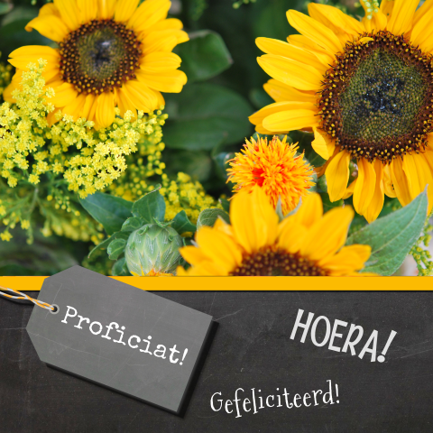 Verjaardagskaart met zonnebloemen