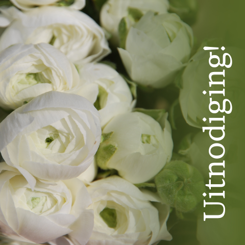 Uitnodiging met witte rozen