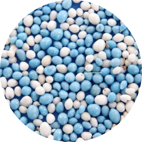 Sluitzegels met Blauwe muisjes