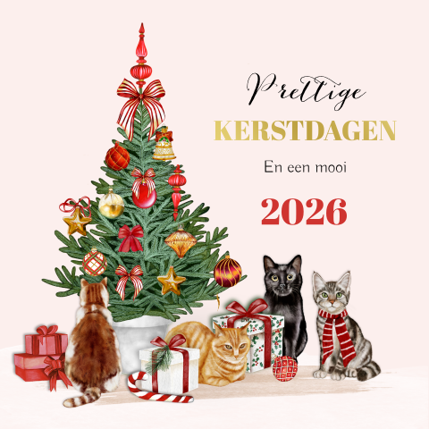 Kerstkaart met leuke katten onder kerstboom