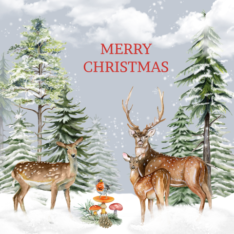 Kerst rendieren roodborstje winterlandschap