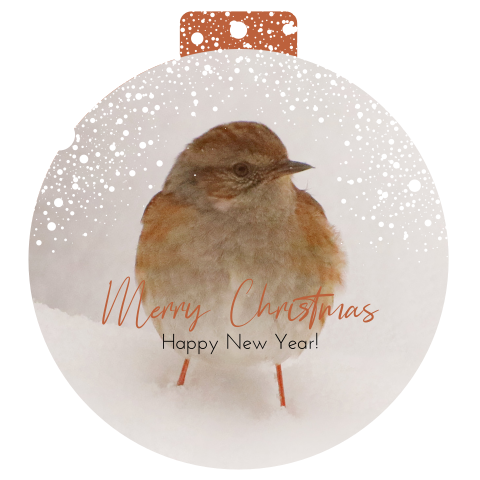 Kerstkaart vogeltje in de sneeuw