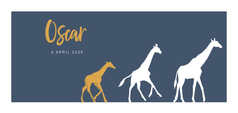 Donkerblauw geboortekaartje voor een jongen met drie girafjes