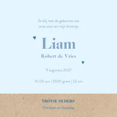 Silhouet geboortekaartje grote zus met baby broertje bij boom