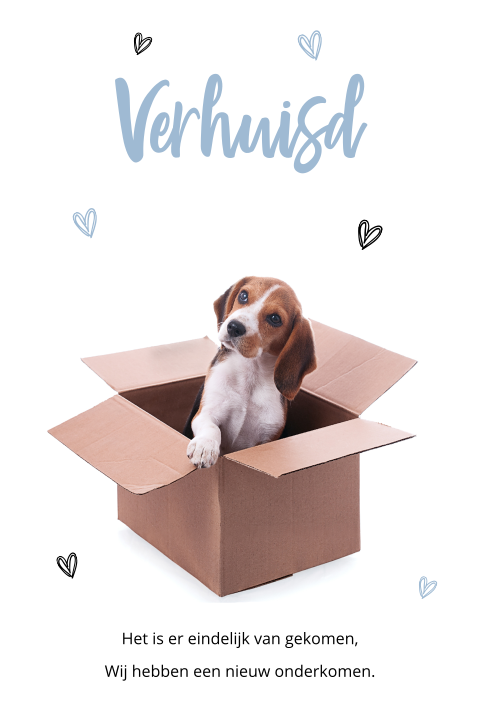 Verhuiskaart met hond in een kartonnen verhuisdoos