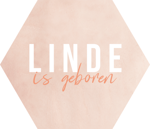Hexagon sluitsticker met roze waterverf en strakke naam