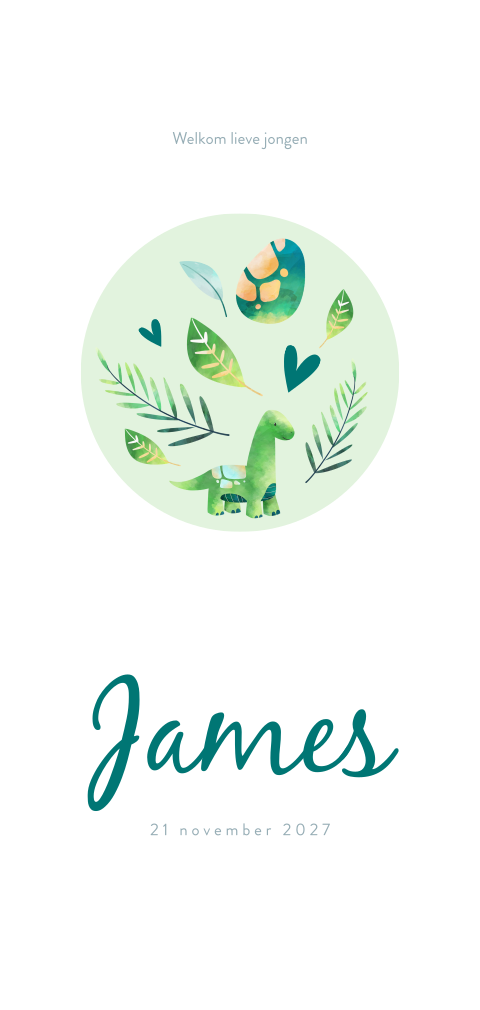 Geboortekaartje jongen met dinosaurus en blaadjes