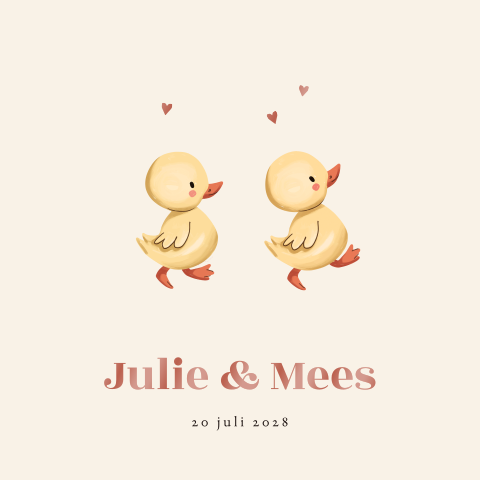 Lief tweeling geboortekaartje met twee kleine eendjes